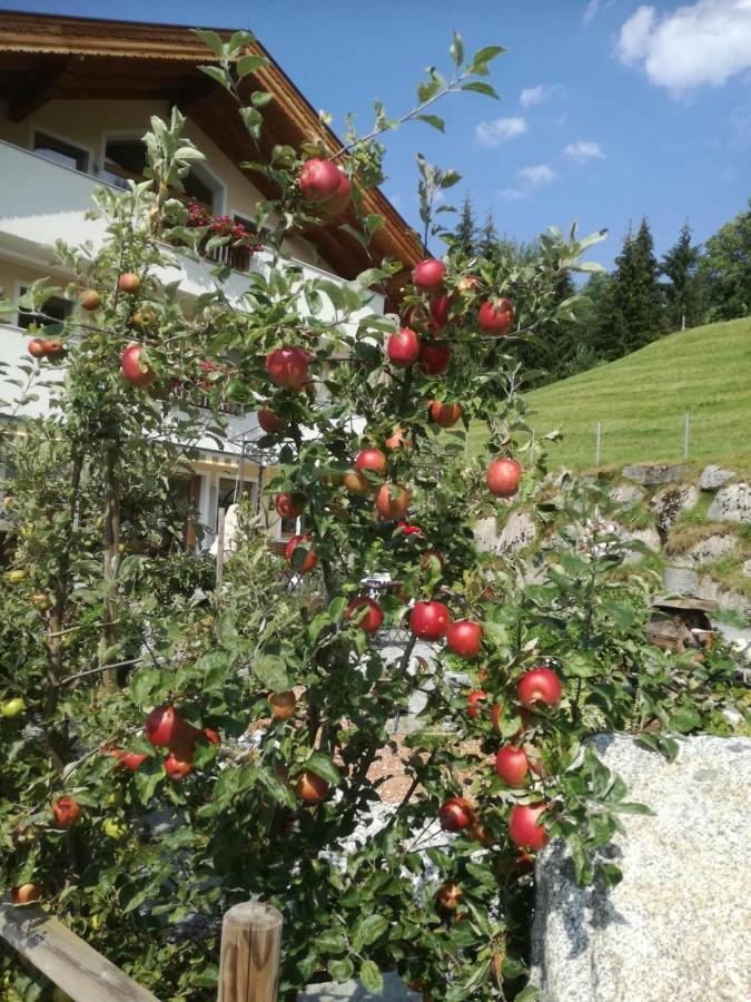 Ferienwohnungen Hinterstein ฮาร์ทอิมซิลลาทาล ภายนอก รูปภาพ